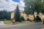 Erdgeschoßwohnung Zörbig - 3 Zimmer, 64 m&sup2;, 430&euro; | Angebot:26096236