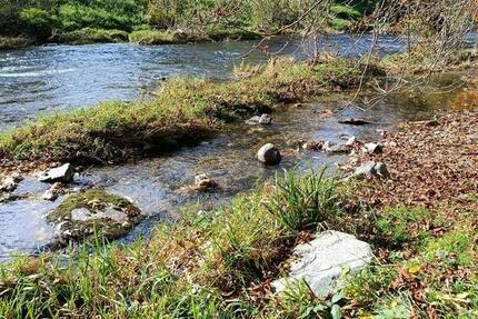 Hochwertige 1 Zi Wohnung in Freiburg 1 zimmer