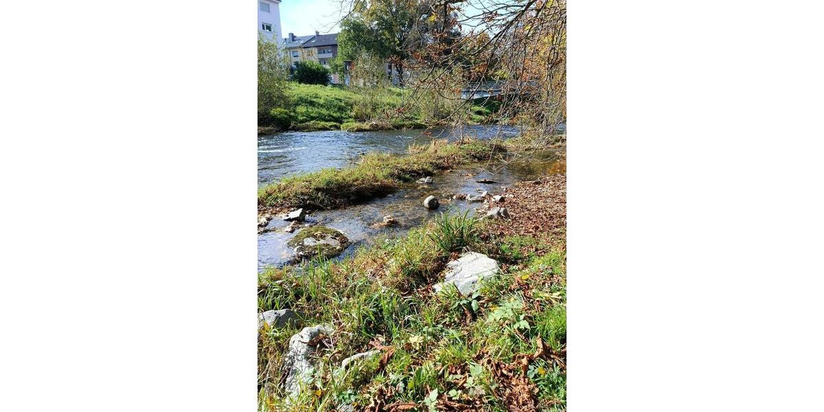 Hochwertige 1 Zi Wohnung in Freiburg 1 zimmer