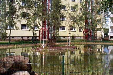 Wohnung zum Mieten in Magdeburg 653,52 € 81.69 m² 4 zimmer