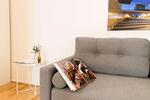 Wohnen auf Zeit Aachen Aachen-Mitte - 1 Zimmer, 32 m&sup2;, 1.000&euro; | Angebot:13973812