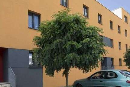 Wohnung zum Mieten in Magdeburg 455 € 60.96 m² 2 zimmer