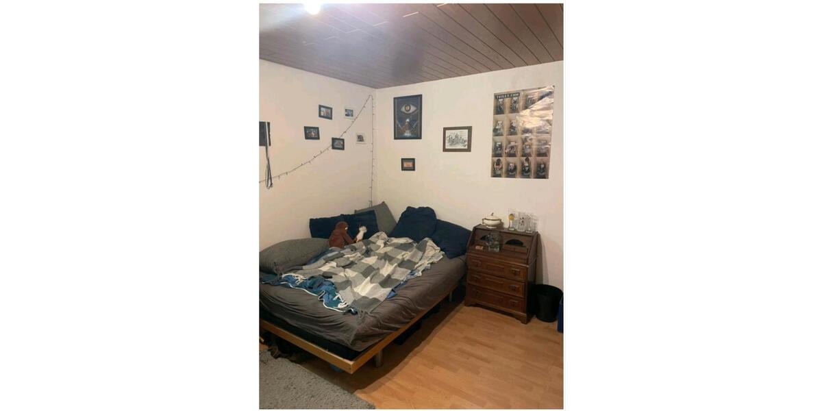 Großes Zimmer in Mainz Gonsenheim zimmer