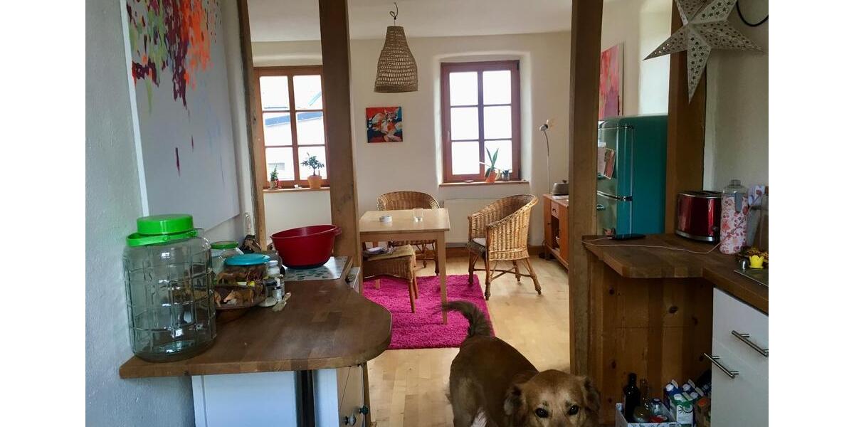 Geräumiges Dachgeschoss in tierfreundlichem Haus mit Garten 1 zimmer