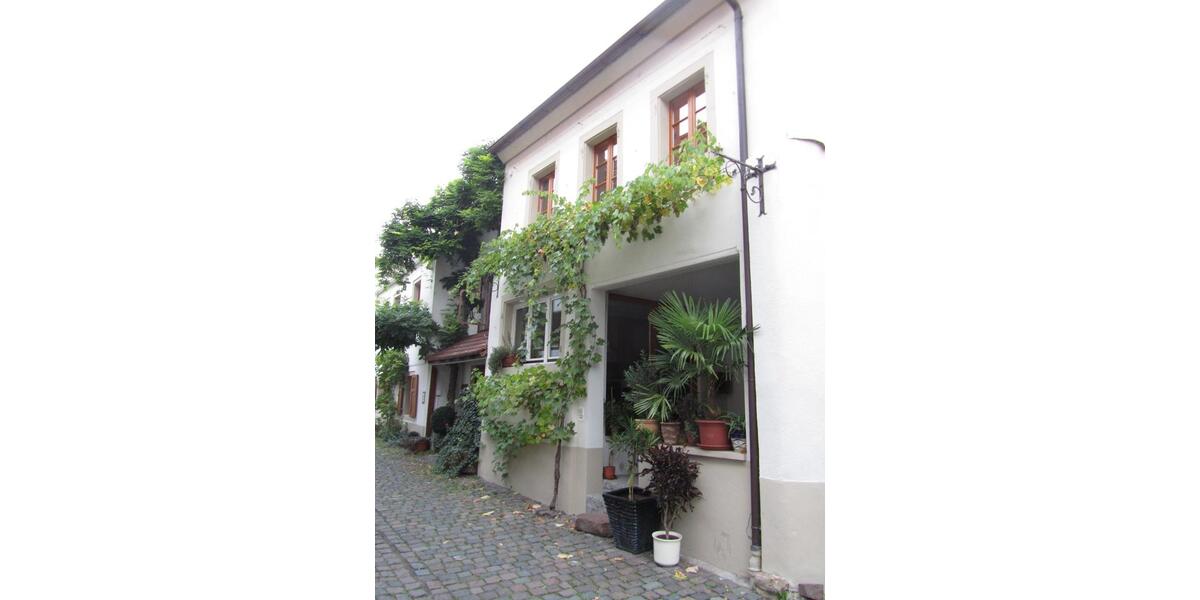 Loft - Studio - Atelier Freinsheim - 2 Zimmer, 90 m&sup2;, 800&euro; | Angebot:24679480