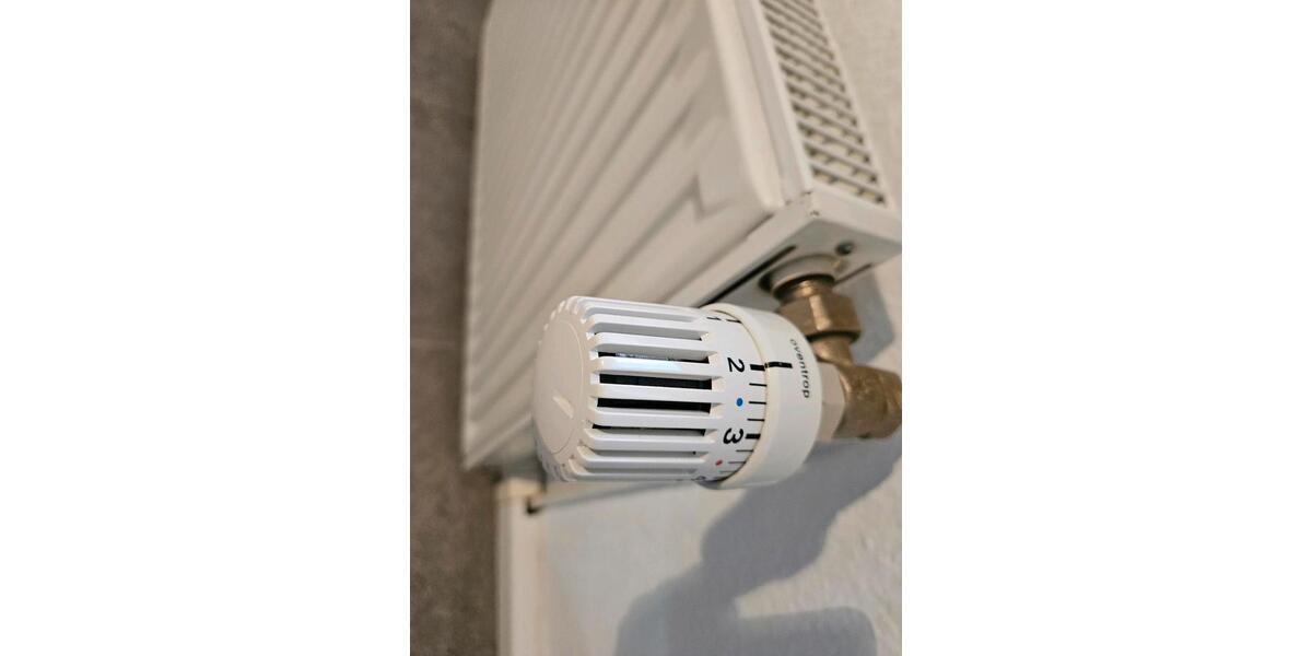 Hochparterre Böhlen - 2 Zimmer, 50 m&sup2;, 470&euro; | Angebot:24469703