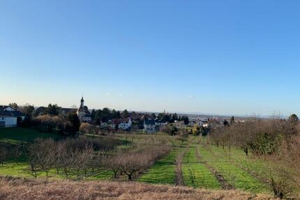 Wohnung Bühl - 1 Zimmer, 58 m&sup2;, 560&euro; | Angebot:24508288