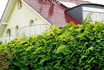 Modernes freistehendes Einfamilienhaus in Lohfelden 5 zimmer