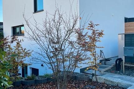 Modernes 1-Zimmer Appartement - Einliegerwohnung ab 01.03.26 1 zimmer