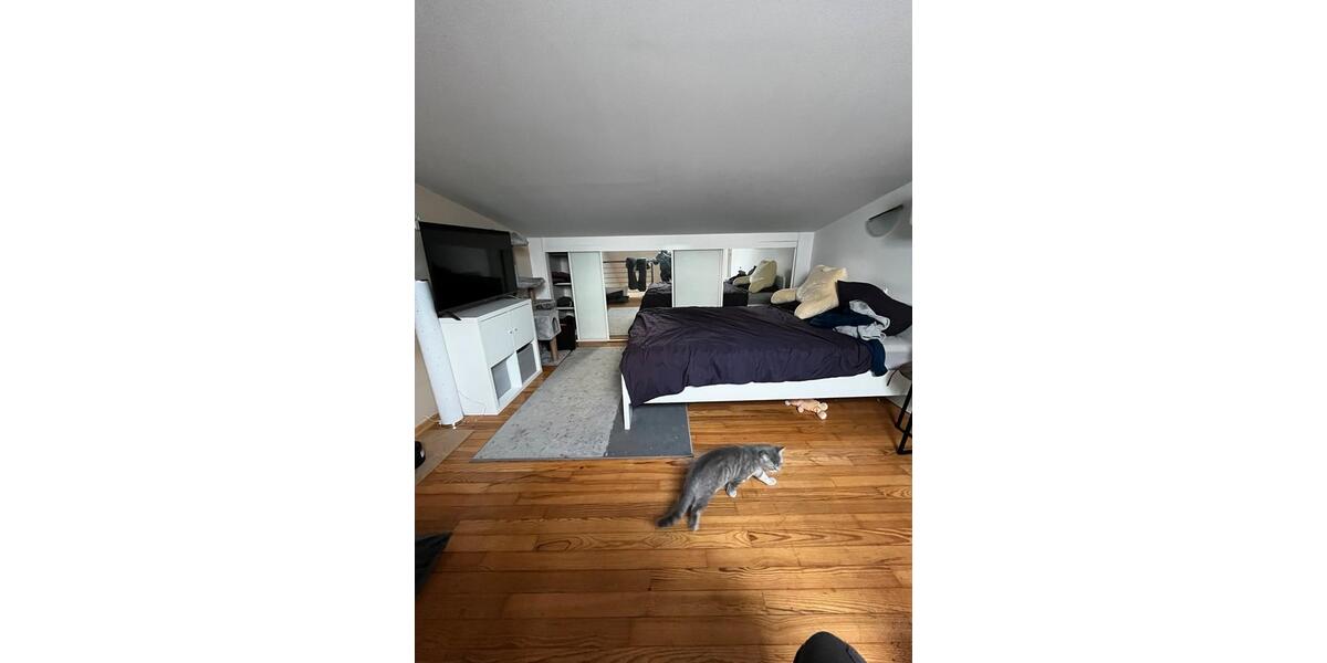Etagenwohnung Saarbrücken West - 2 Zimmer, 75 m&sup2;, 760&euro; | Angebot:25384058