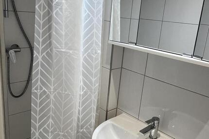 Wohnung Mainz Neustadt - 1 Zimmer, 20 m&sup2;, 550&euro; | Angebot:26266846