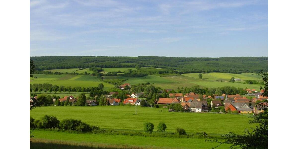 Erdgeschoßwohnung Einbeck - 4 Zimmer, 100 m&sup2;, 590&euro; | Angebot:25318071