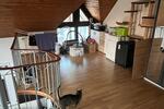 Maisonettenwohnung Braunschweig Wabe-Schunter-Beberbach - 2 Zimmer, 75 m&sup2;, 800&euro; | Angebot:25903326