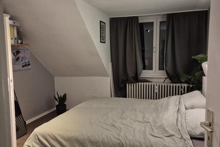 2,5 Zimmer DG Wohnung Uni Nähe Mitte Königsworther Str 2 zimmer