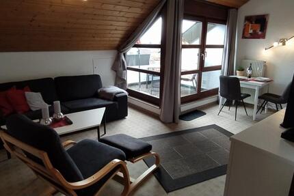Schönes und geräumiges 2-Zimmerapartment in bester Südrandlage 2 zimmer
