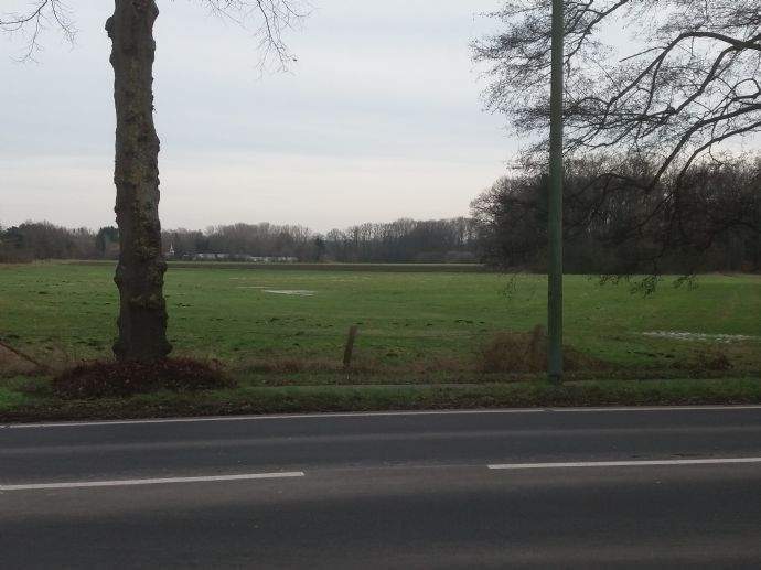 Renovierte 2-Zimmerwohnung mit Blick ins Grüne. 2 zimmer