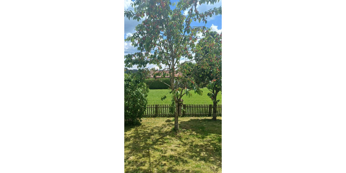 Wohnen im Grünen: Haus mit Garten & Garage 4 zimmer