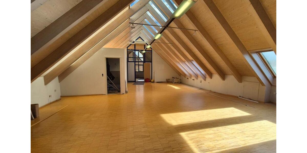 Loft - Studio - Atelier Eichstetten am Kaiserstuhl - 1 Zimmer, 120 m&sup2;, 1.500&euro; | Angebot:25137262