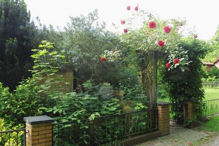 Wohnung Wilhelmshaven Aldenburg - 1 Zimmer, 37 m&sup2;, 400&euro; | Angebot:25045219