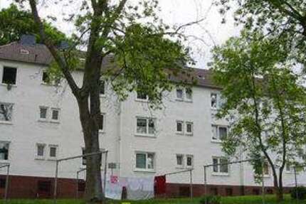 Wohnung Iserlohn Grüne - 1 Zimmer, 31 m&sup2;, 319&euro; | Angebot:25539122