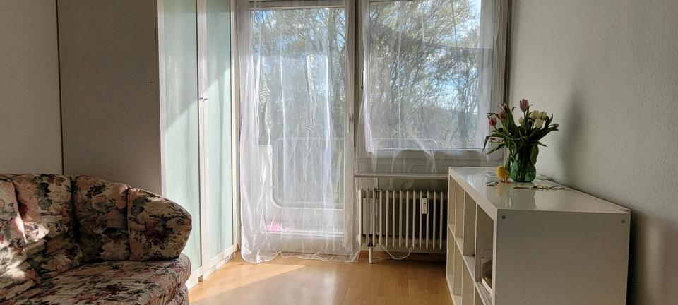 Etagenwohnung Freiburg im Breisgau Betzenhausen - 1 Zimmer, 20 m&sup2;, 750&euro; | Angebot:26356518