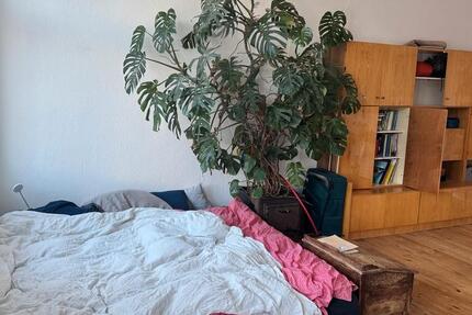 Wohnen auf Zeit Berlin Mitte - 3 Zimmer, 130 m&sup2;, 2.000&euro; | Angebot:26372849