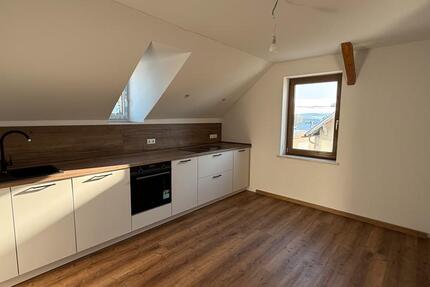 2-Raum-Wohnung Erstbezug nach Renovierung! Inkl. Badewanne, Küche 2 zimmer