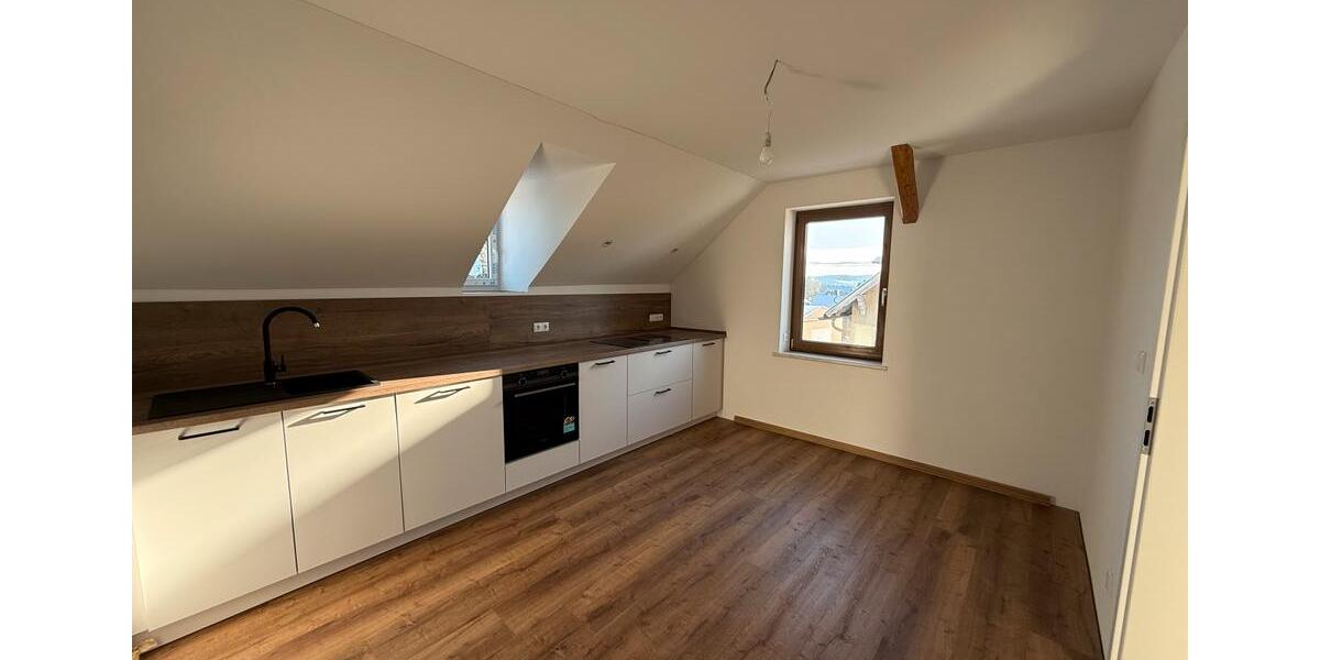 2-Raum-Wohnung Erstbezug nach Renovierung! Inkl. Badewanne, Küche 2 zimmer