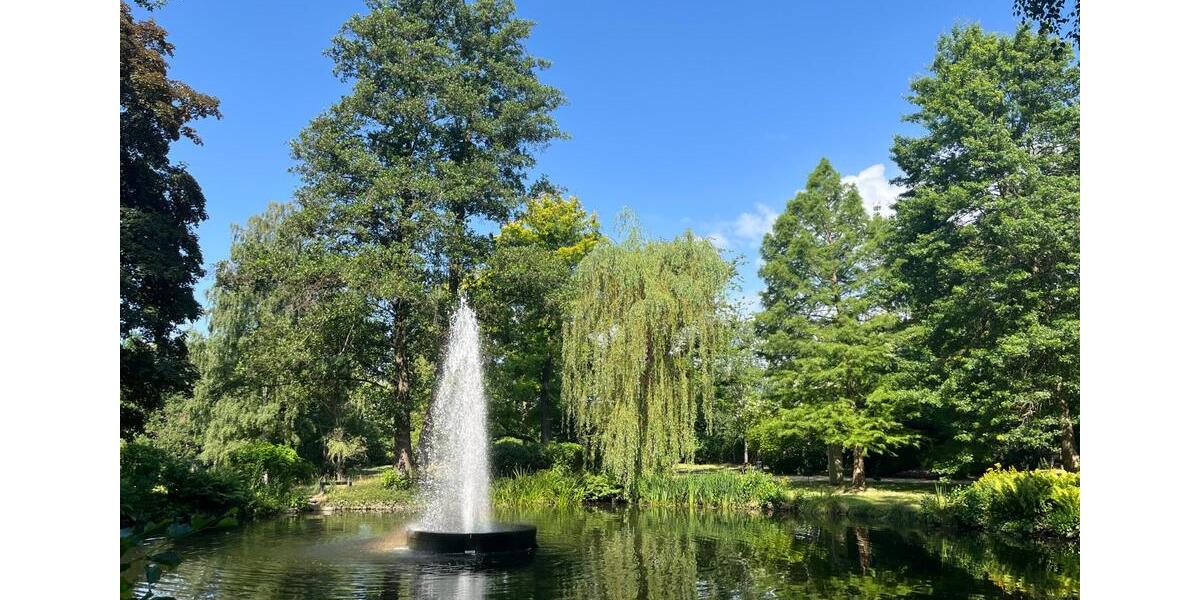 Erdgeschoßwohnung Limbach-Oberfrohna Oberfrohna - 2.5 Zimmer, 59 m&sup2;, 588&euro; | Angebot:24711088