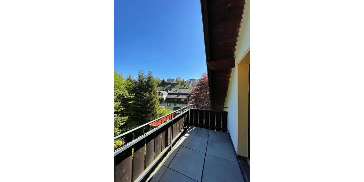 Wohnen auf Zeit Willingen (Upland) - 1 Zimmer, 20 m&sup2;, 450&euro; | Angebot:24625046