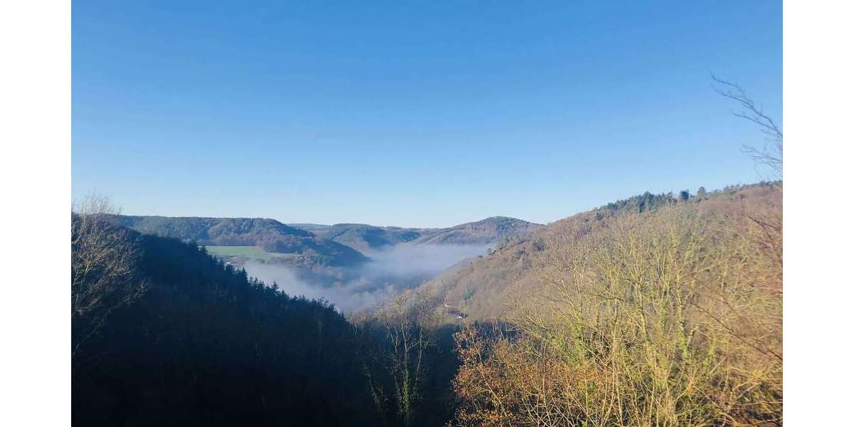 Wohnung zum Mieten in Nideggen 485 € 57 m² 1 zimmer