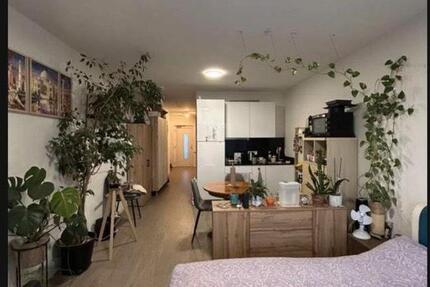 Schönes Studio-Apartment in Darmstadt Zwischenmiete nur Februar 1 zimmer