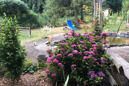 Wohnen auf Zeit Falkenstein/Harz Harz - 2 Zimmer, 45 m&sup2;, 60&euro; | Angebot:24631202