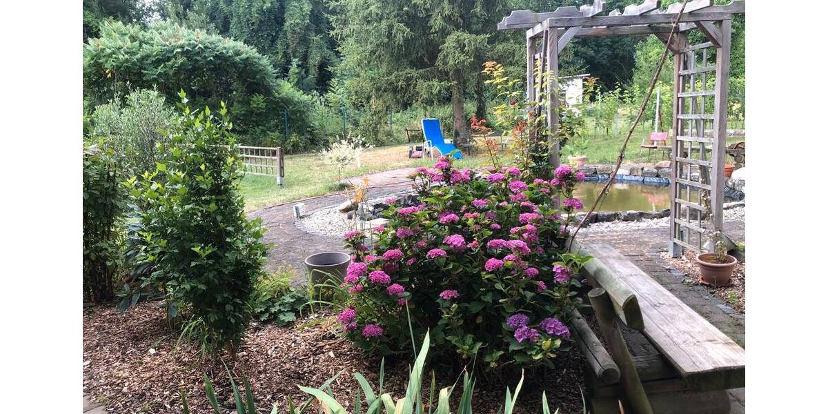 Wohnen auf Zeit Falkenstein/Harz Harz - 2 Zimmer, 45 m&sup2;, 60&euro; | Angebot:24631202