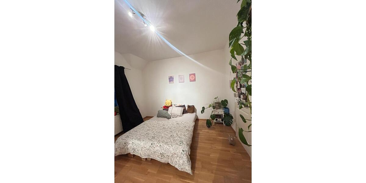 Wohnen auf Zeit Baden-Baden Balg - 1 Zimmer, 140 m&sup2;, 470&euro; | Angebot:25937024