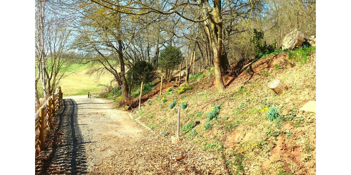 Etagenwohnung Mansfeld - 2 Zimmer, 60 m&sup2;, 750&euro; | Angebot:25791148