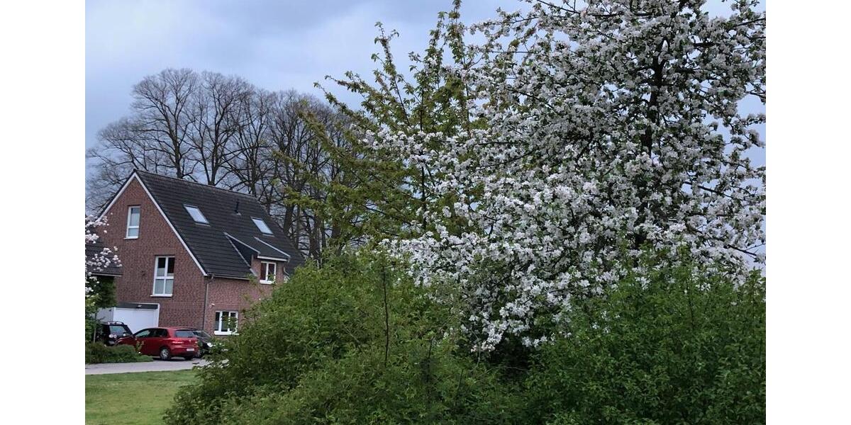 Einfamilienhaus Willich - 7 Zimmer, 199 m&sup2;, 2.250&euro; | Angebot:25268693