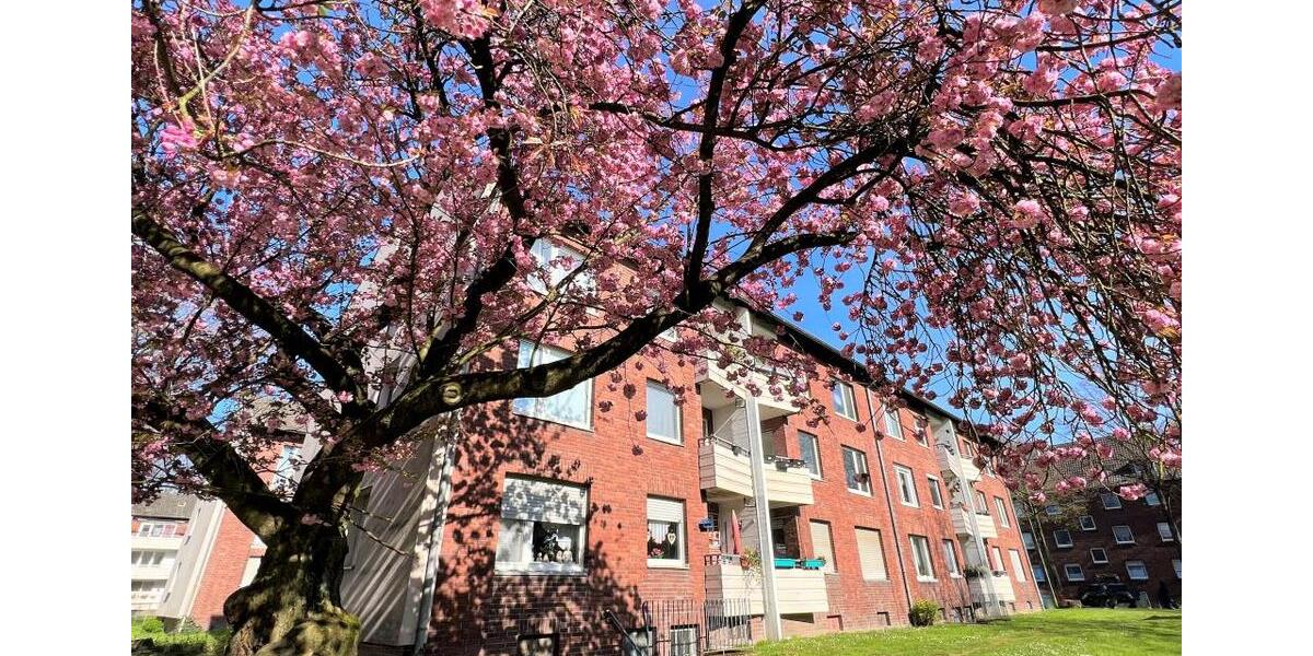 Bewegungsfreiheit in Ihrer bodengleichen Dusche. 3 zimmer