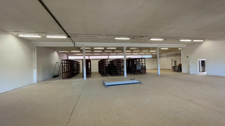Gewerbeobjekt Jessen (Elster) - 1.500&euro; | Angebot:19525654