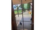 Wohnen auf Zeit Bad Salzdetfurth - 1 Zimmer, 16 m&sup2;, 350&euro; | Angebot:25176596