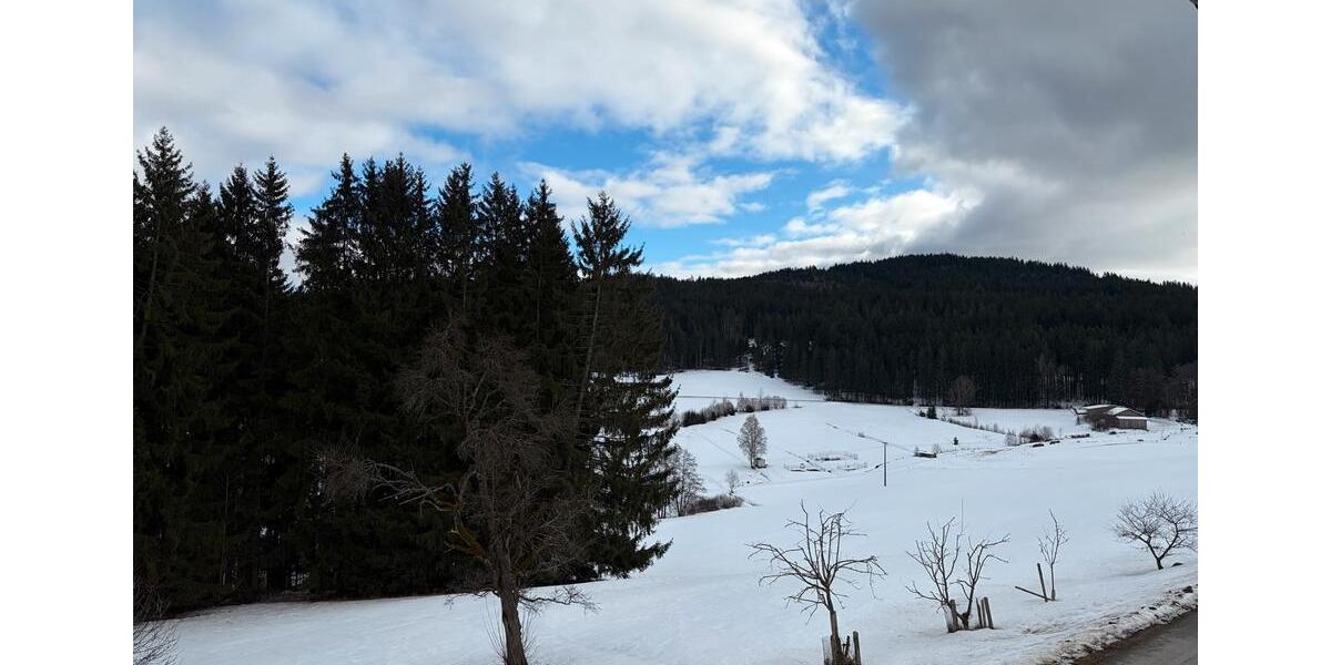 Etagenwohnung Zwiesel - 2 Zimmer, 56 m&sup2;, 350&euro; | Angebot:24838628