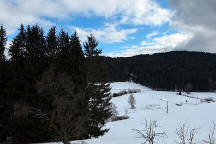 Wohnung Zwiesel - 2 Zimmer, 56 m&sup2;, 350&euro; | Angebot:24838628