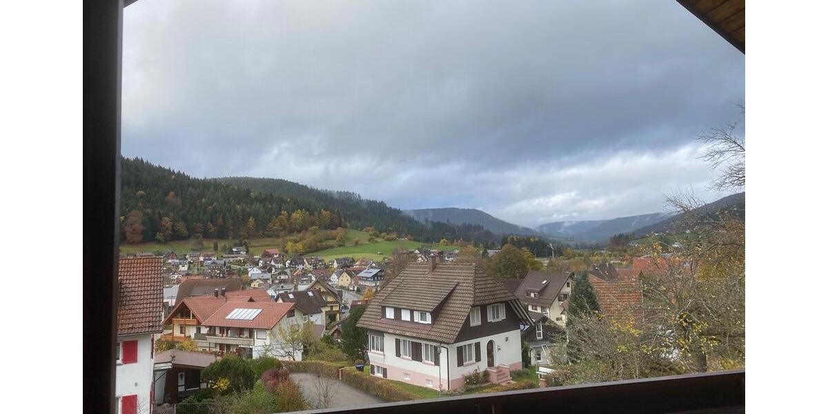 Charmante 3,5 Zimmer Wohnung mit modernem Komfort u Blick ins Tal 3 zimmer