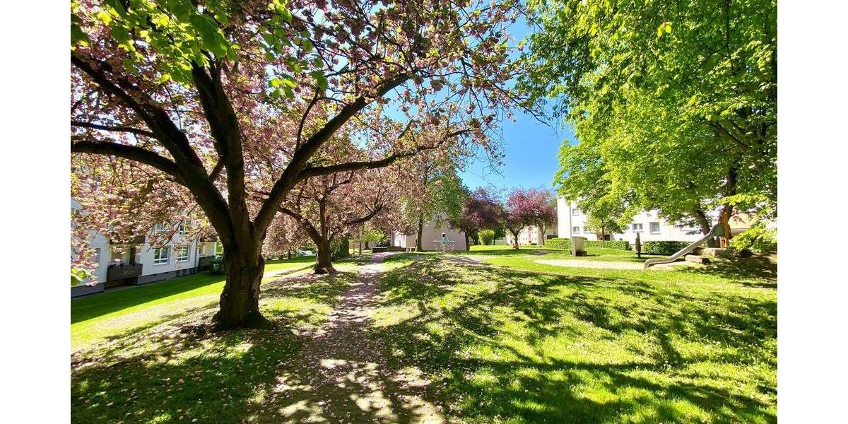 Etagenwohnung Fritzlar - 3 Zimmer, 65 m&sup2;, 527&euro; | Angebot:25695810