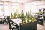 Repräsentatives Coworking - All-in-Miete