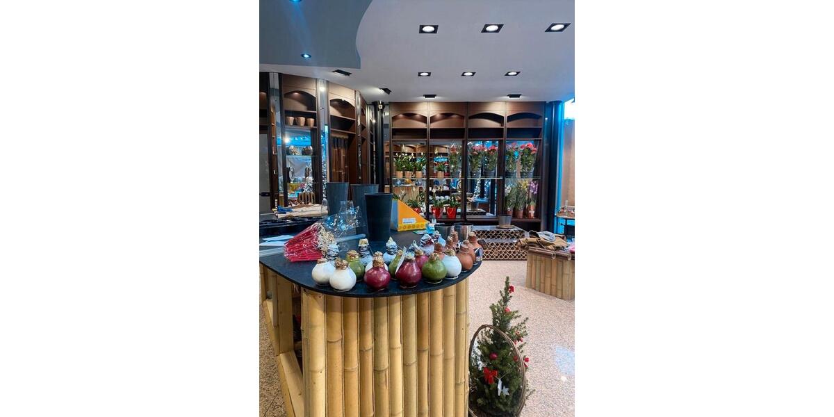 Gewerbeobjekt Erlensee - 1.450&euro; | Angebot:24497699