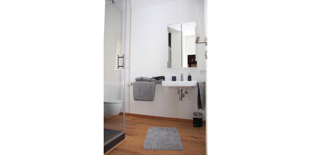 Wohnen auf Zeit Speyer - 1 Zimmer, 21 m&sup2;, 680&euro; | Angebot:26578052