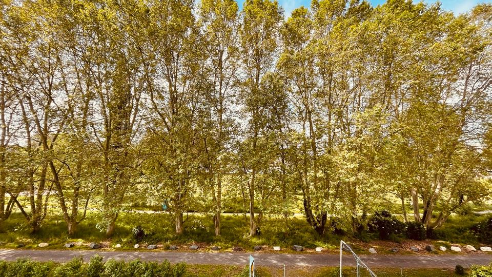 Gewerbeobjekt Wiesbaden Biebrich - 1.920&euro; | Angebot:26286644
