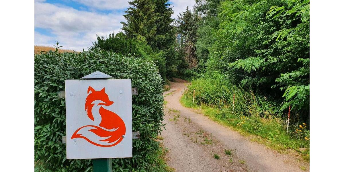 Wohnen auf Zeit Großschirma - 2 Zimmer, 50 m&sup2;, 55&euro; | Angebot:21811730