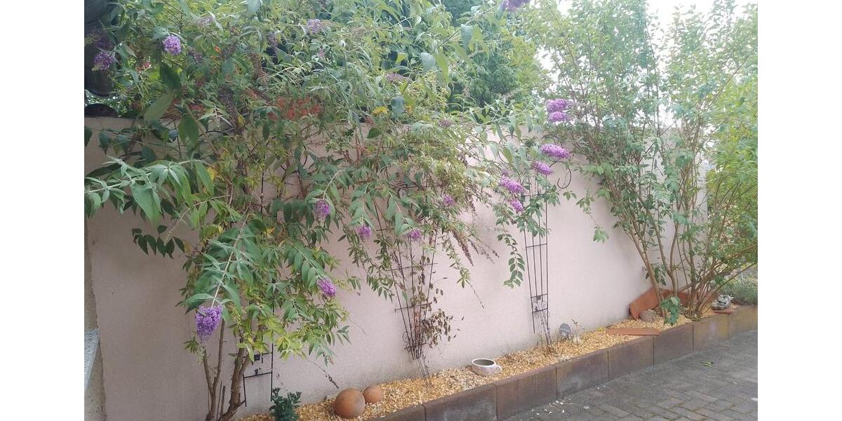 Einfamilienhaus Luckenwalde - 5 Zimmer, 124 m&sup2;, 1.320&euro; | Angebot:26252061